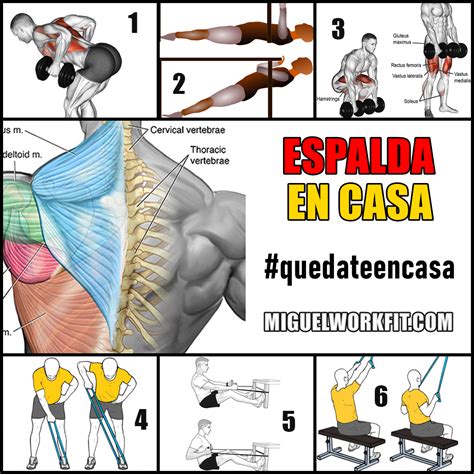 espalda trabajada mujer|Los mejores ejercicios de espalda de mujer para casa y gym